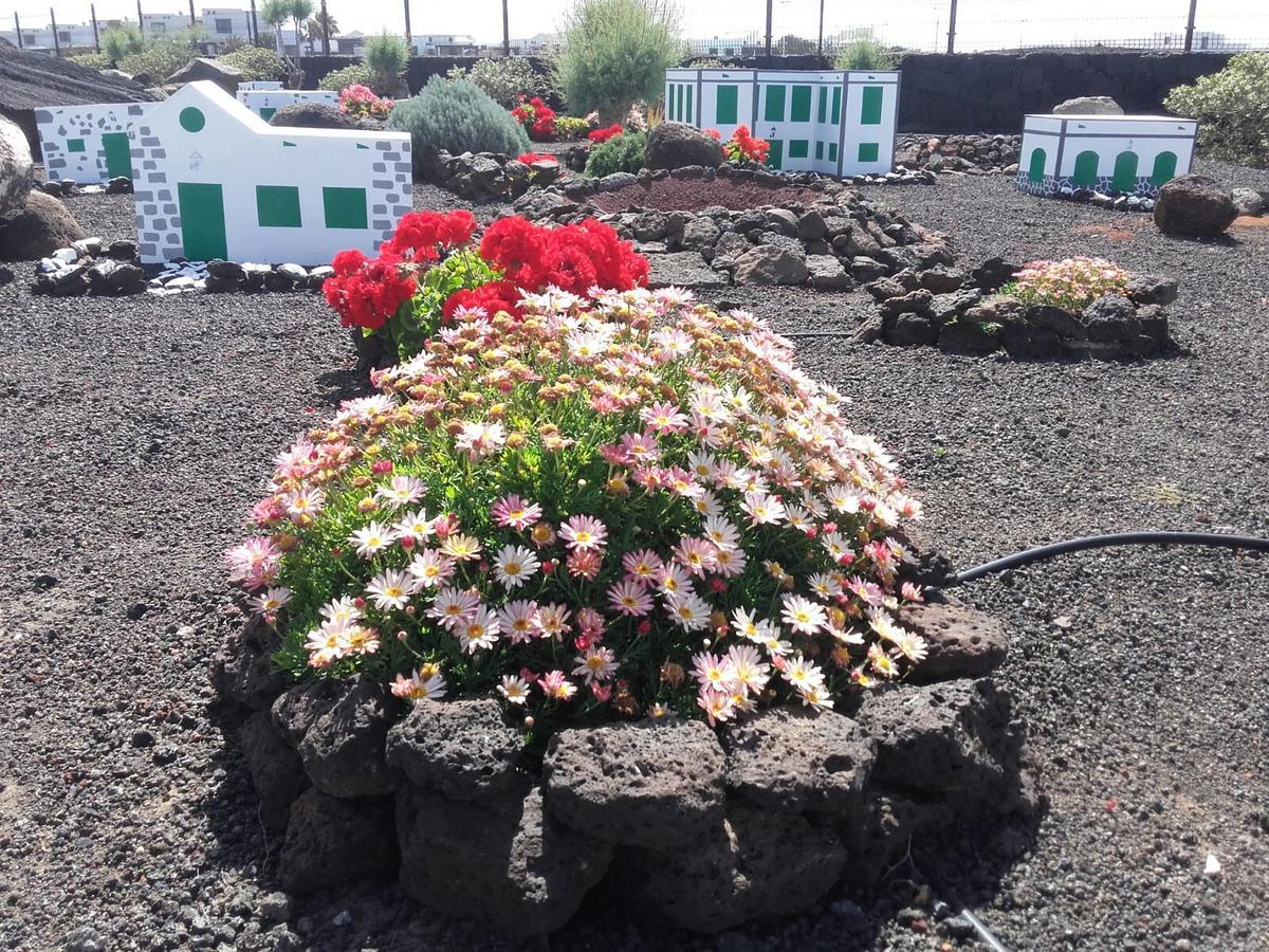 Vik Coral 3*